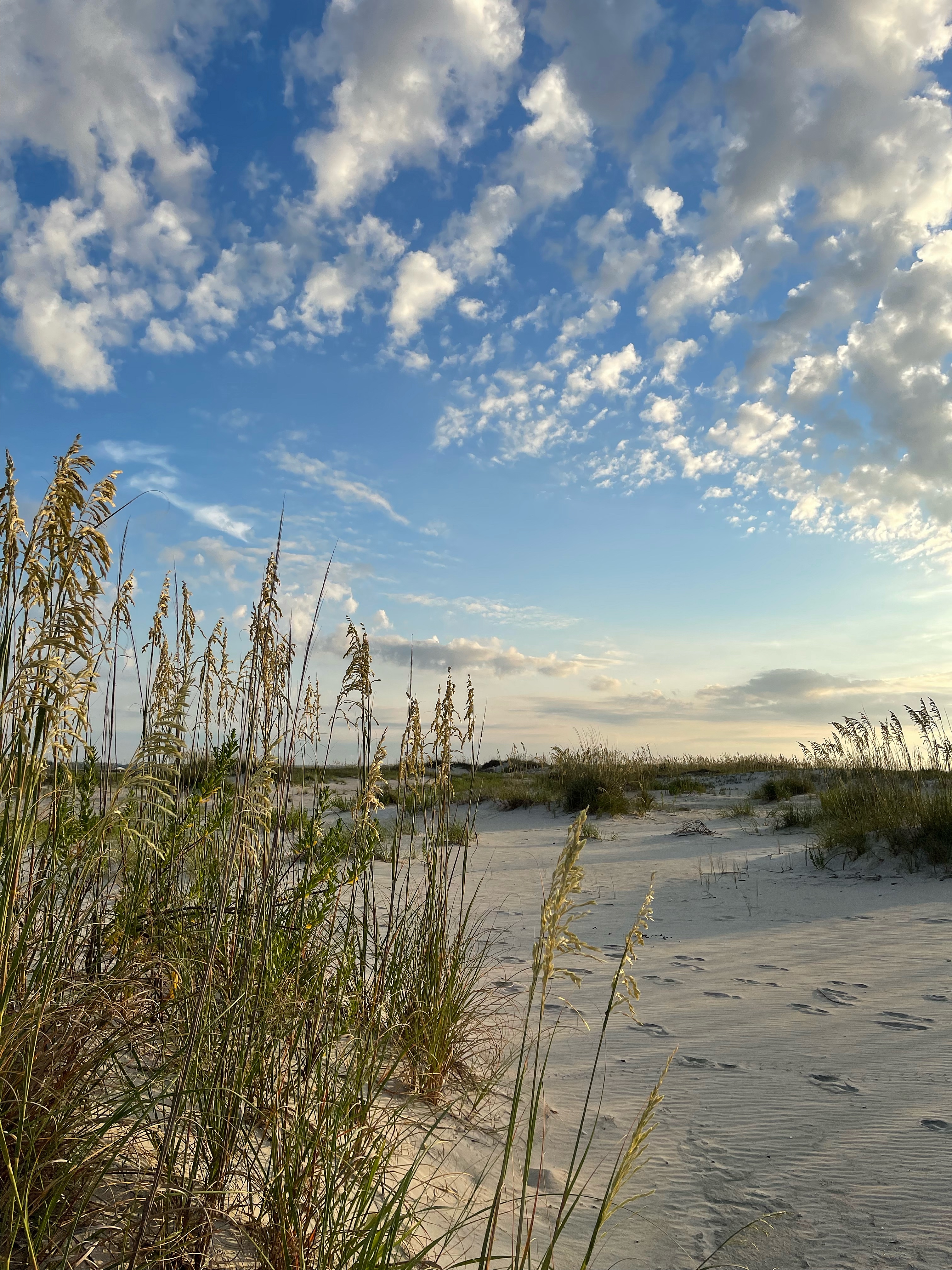 Shifting Sands