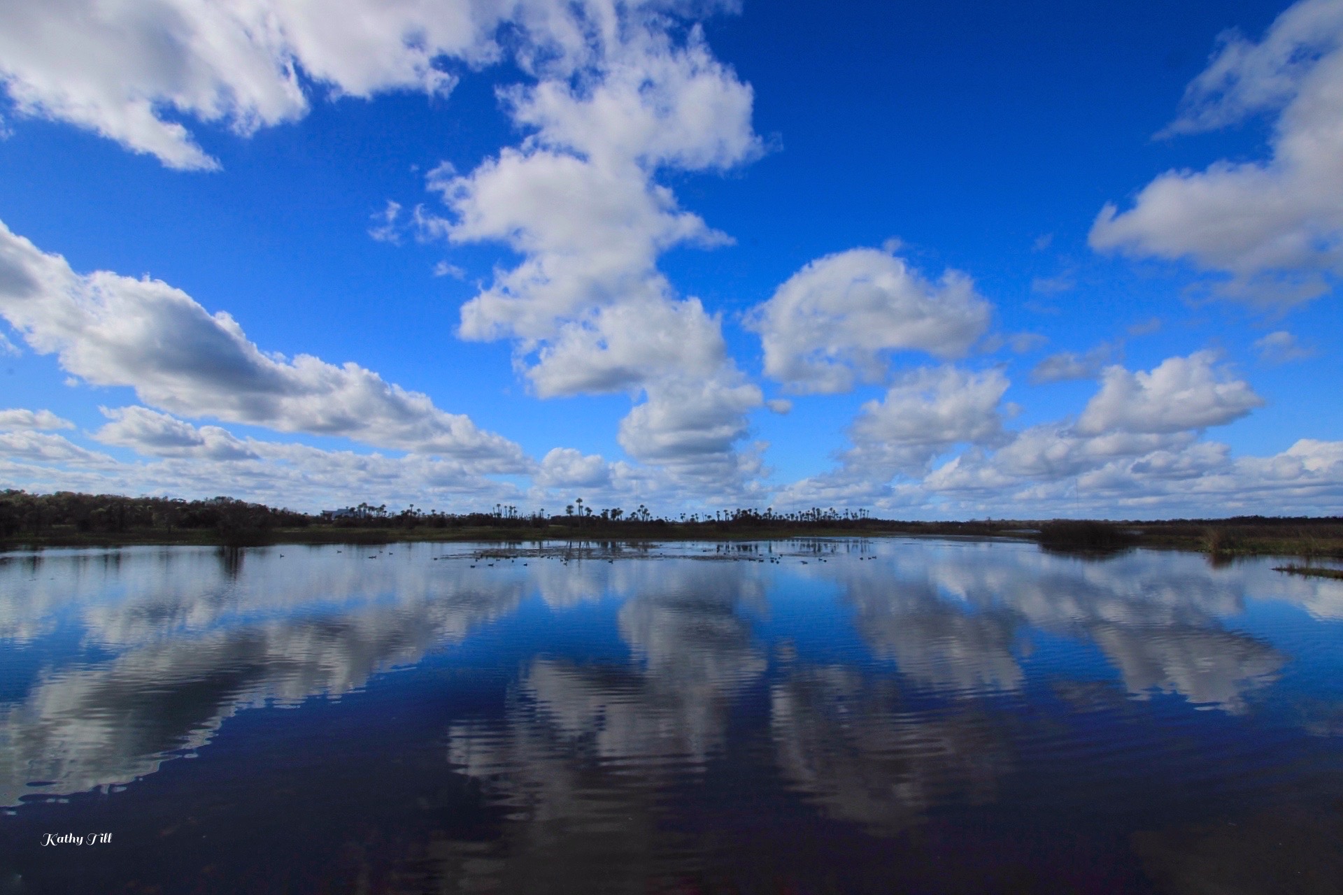Reflections and Thank You’s