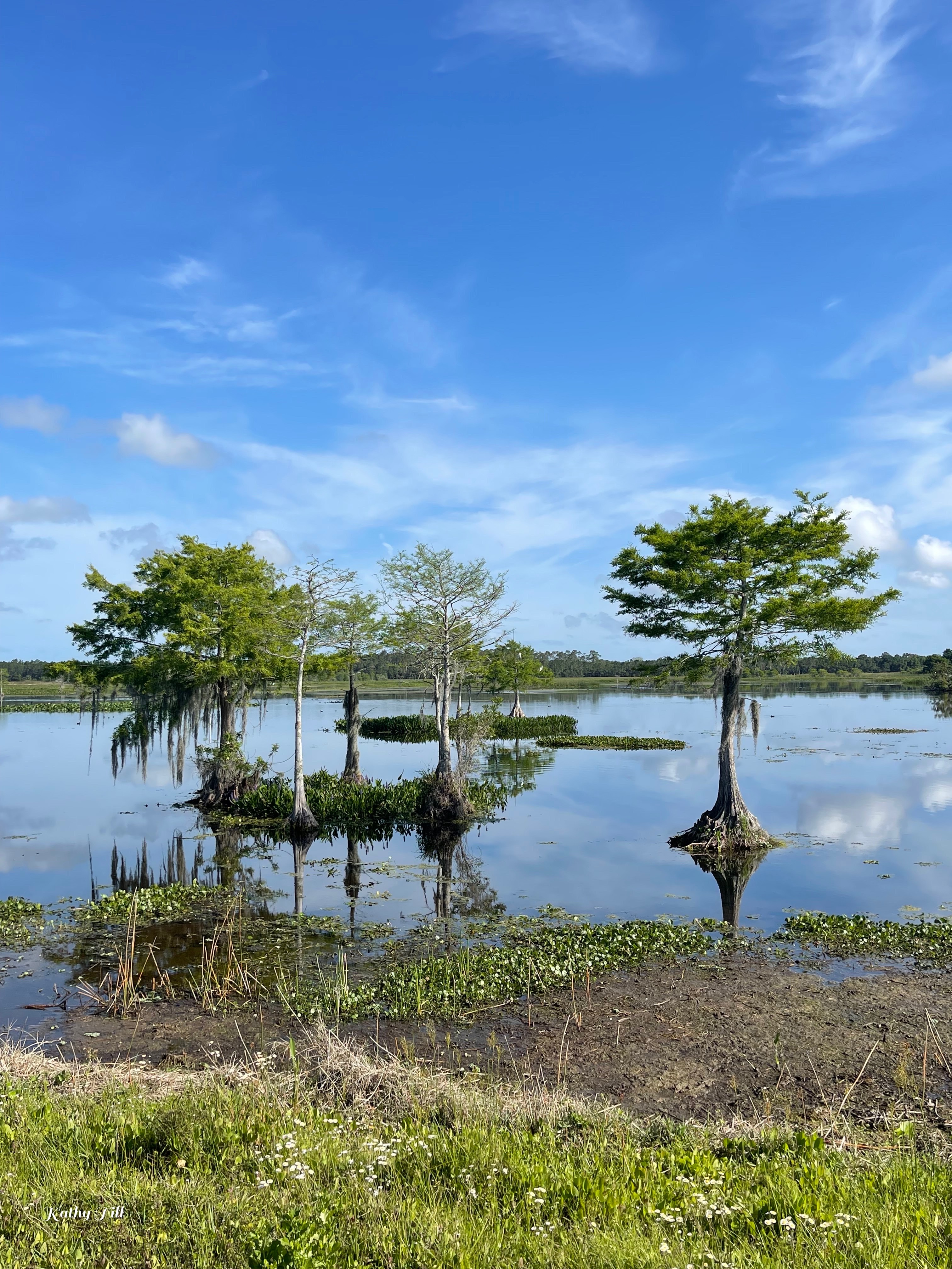 Orlando Wetlands Park