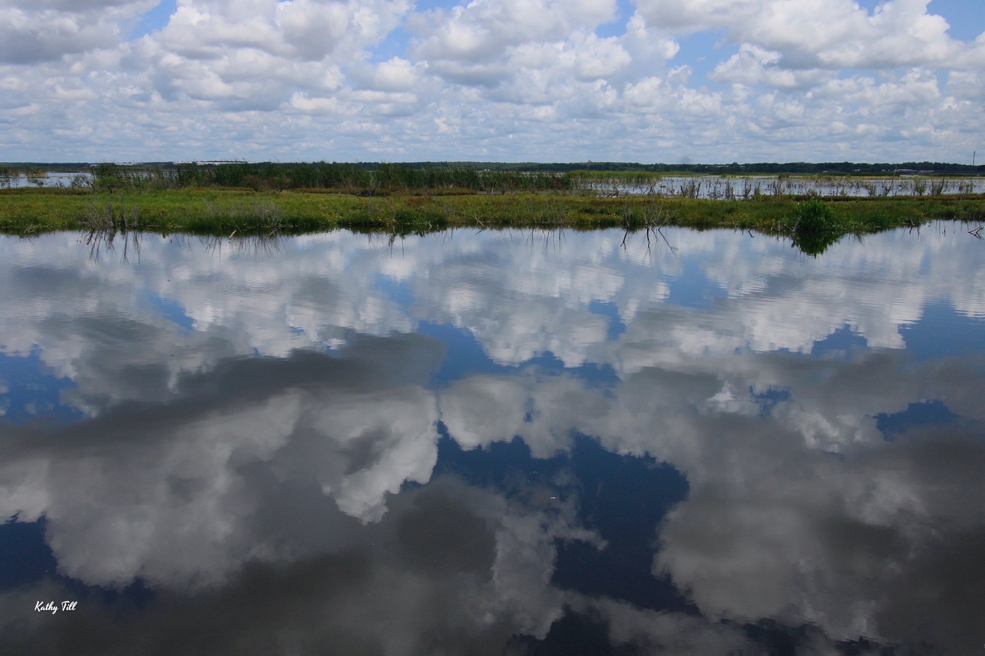 Reflections at the Lake