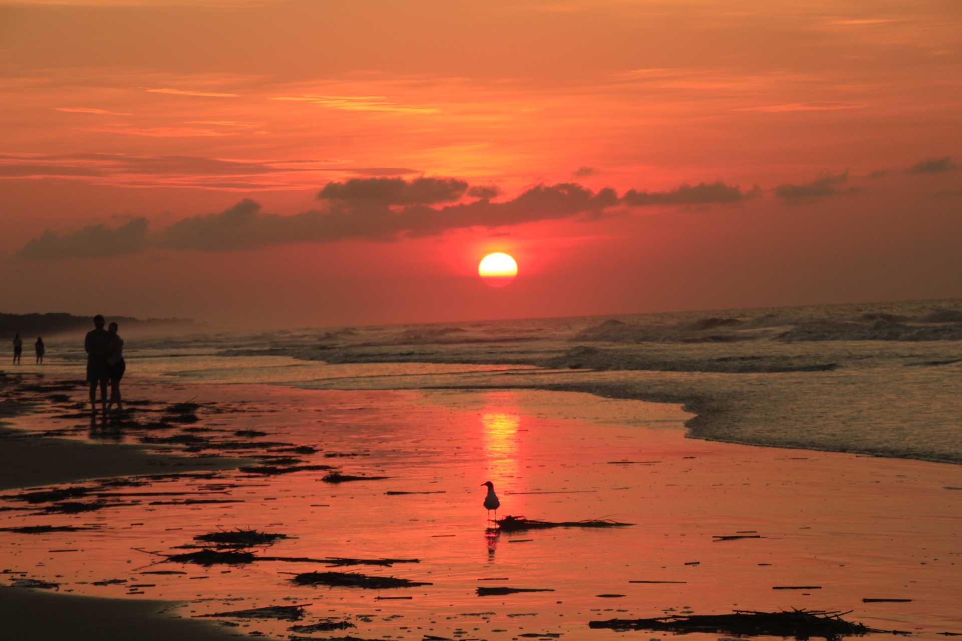 Renew Your Mind, Body, and Soul at the Beach