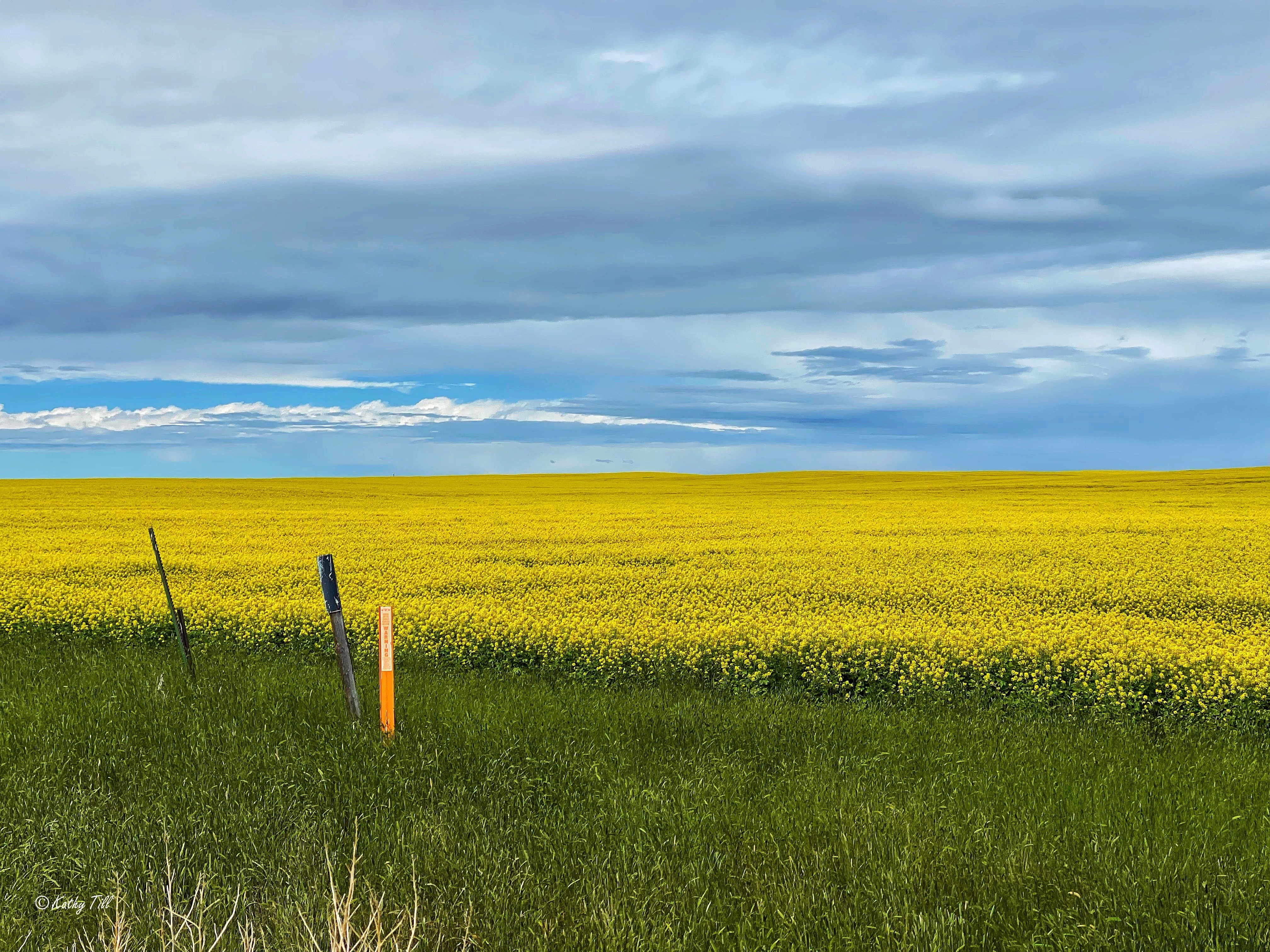 Unexpected Favorites