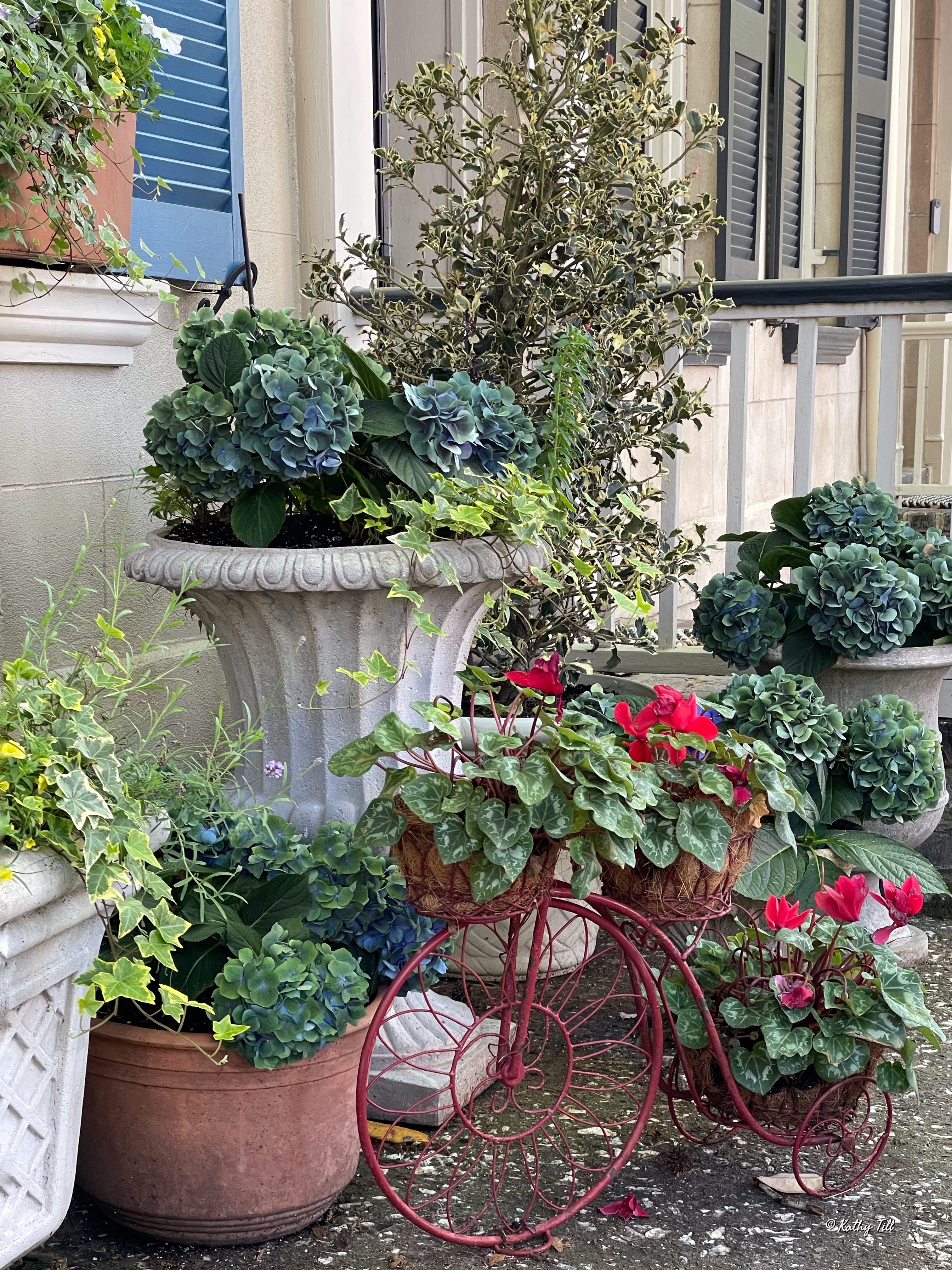 The Sights of Savannah